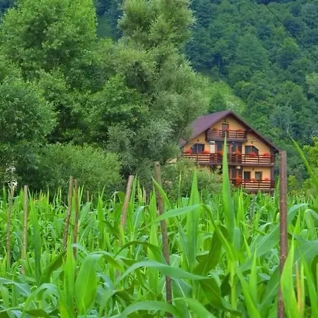 招待所 Casa Vadeanu *